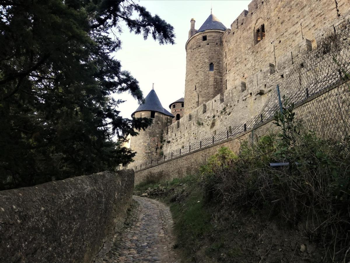 Appartement Sous Les Remparts Carcassonne Ngoại thất bức ảnh