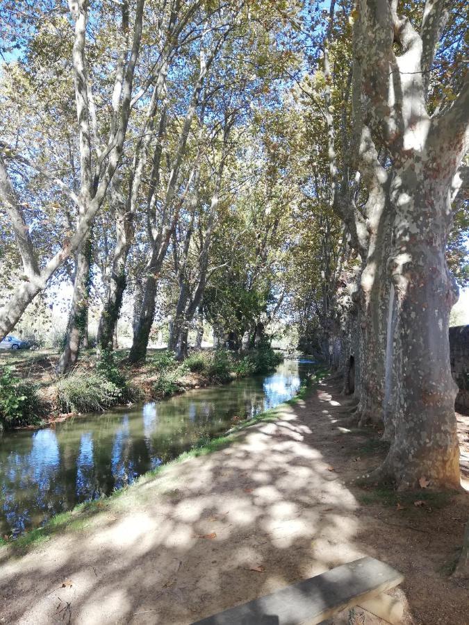 Appartement Sous Les Remparts Carcassonne Ngoại thất bức ảnh